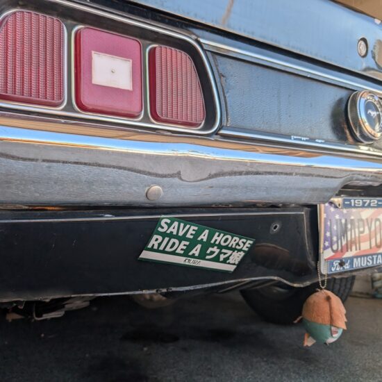 Save A Horse Sticker - Image 2